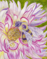 Bee-Loved & Dahlia